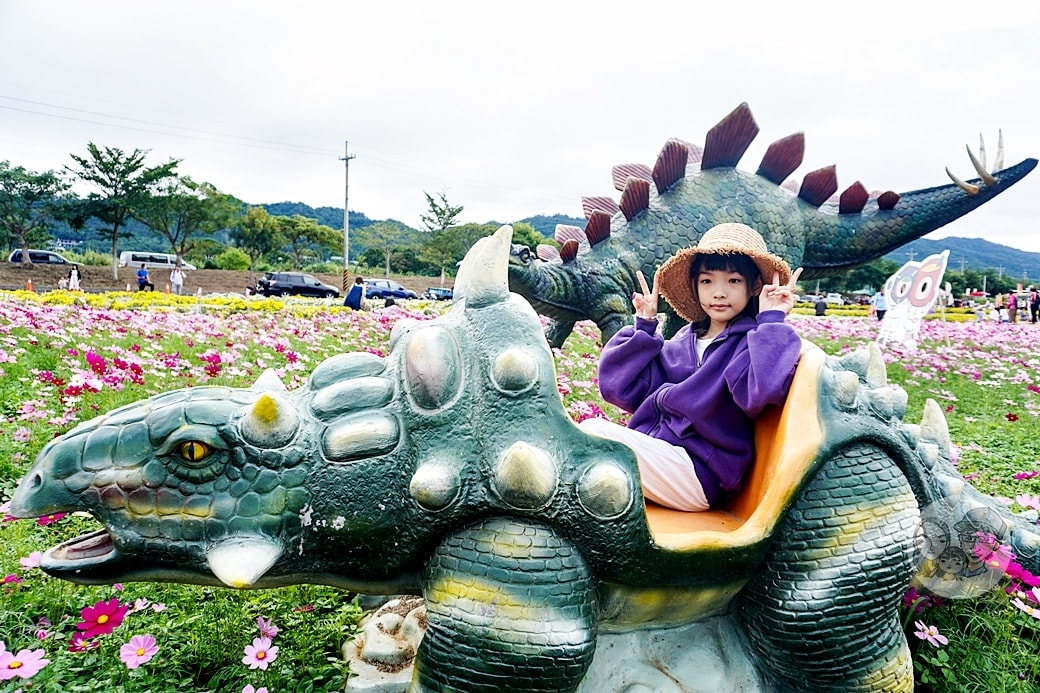 20251027_-256 20251027_-256