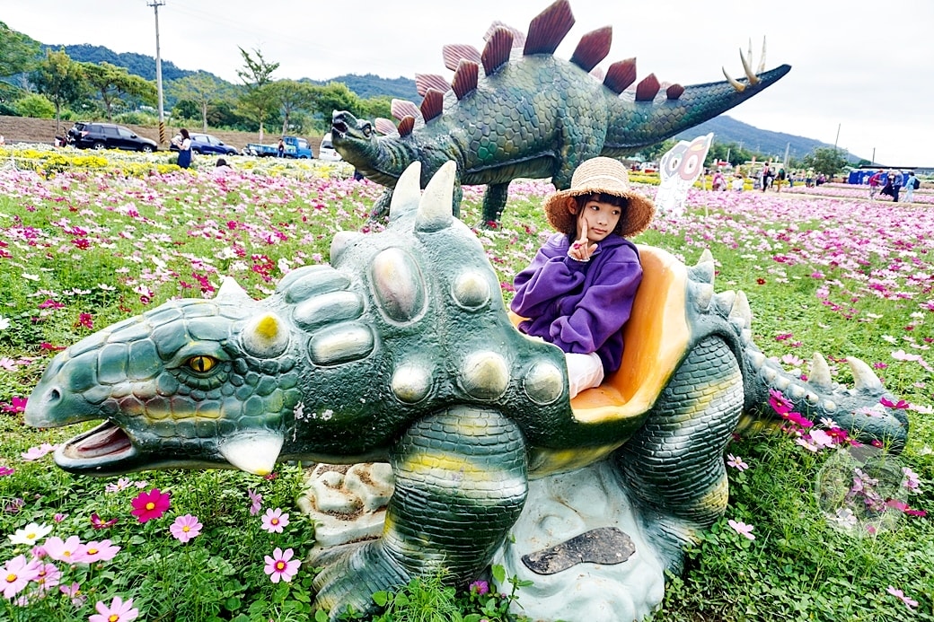 20251027_-257 20251027_-257