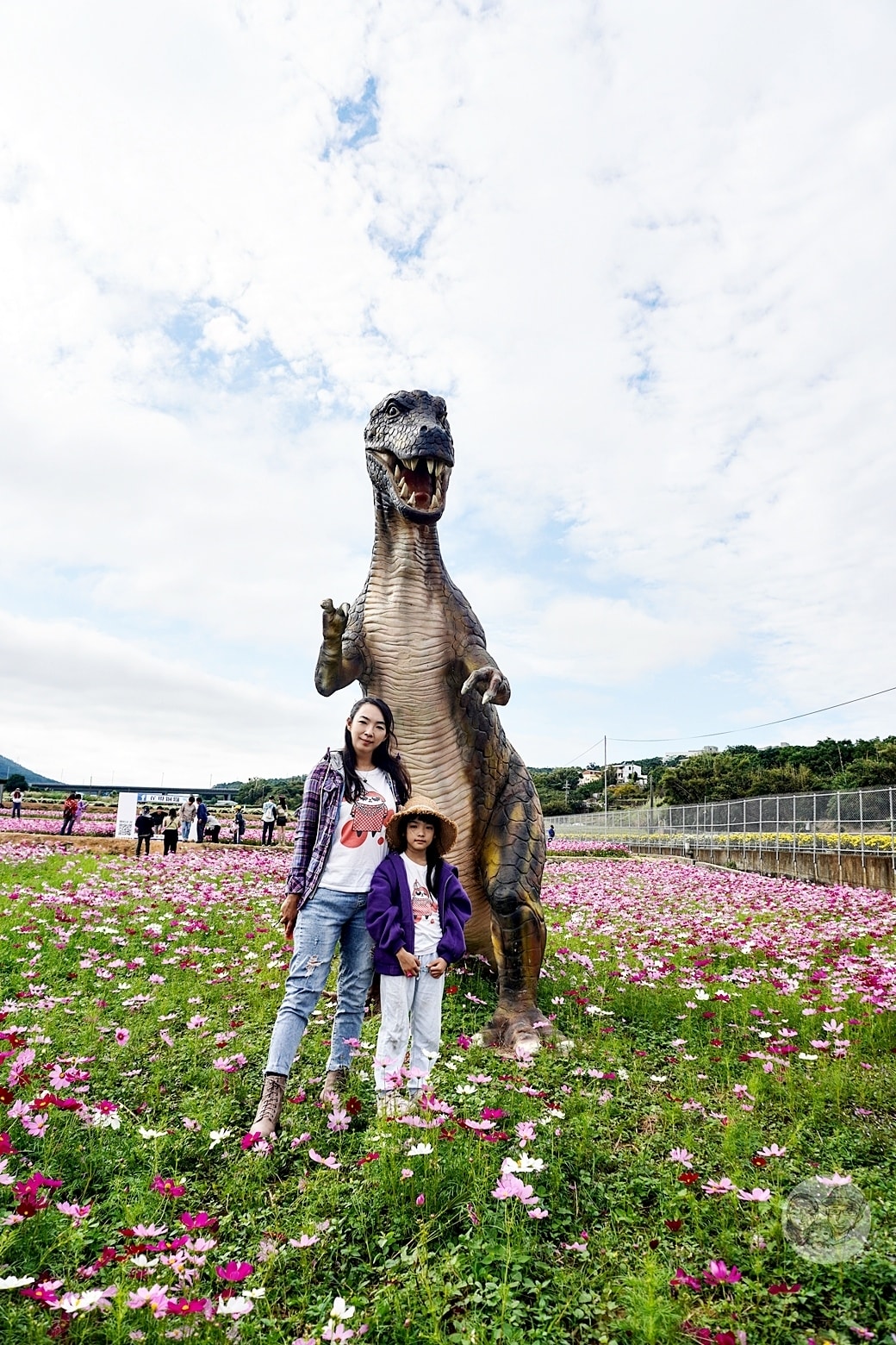 20251027_-258 20251027_-258