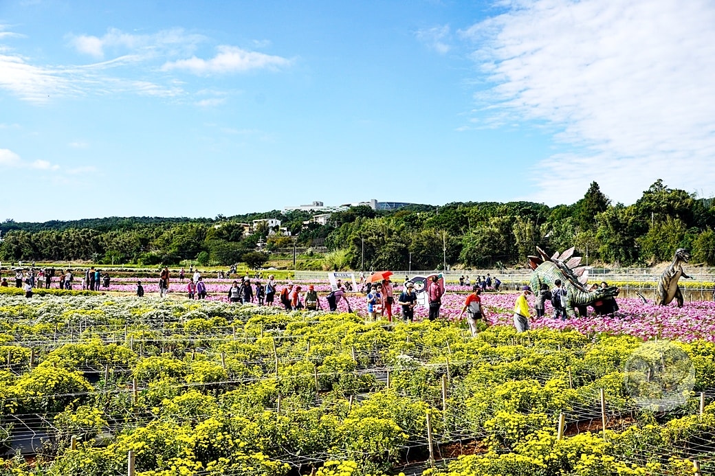 20251027_-259 20251027_-259