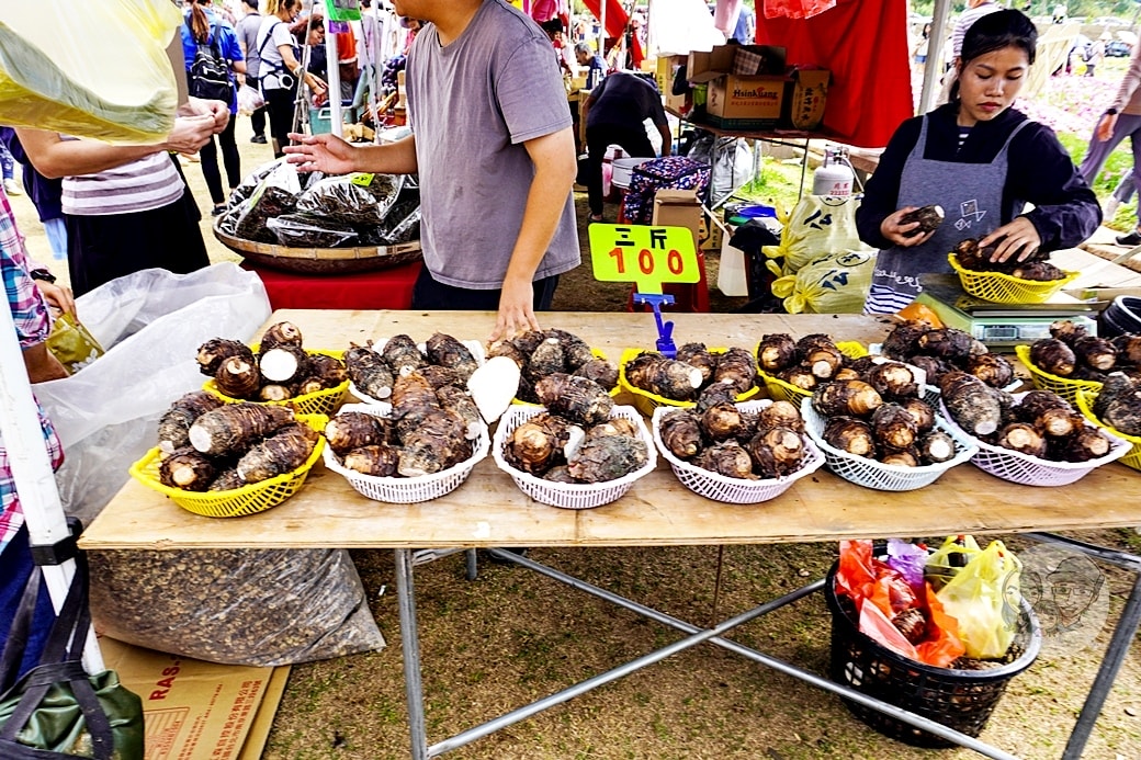 20251027_-274 20251027_-274