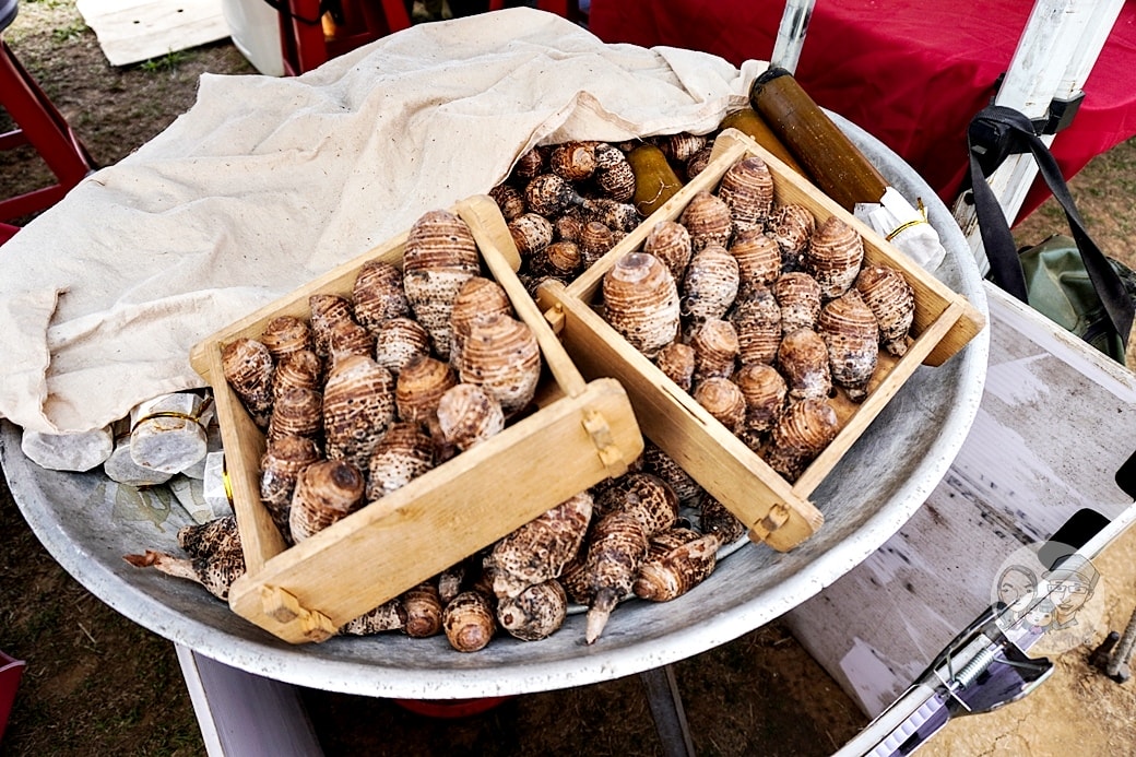 20251027_-275 20251027_-275