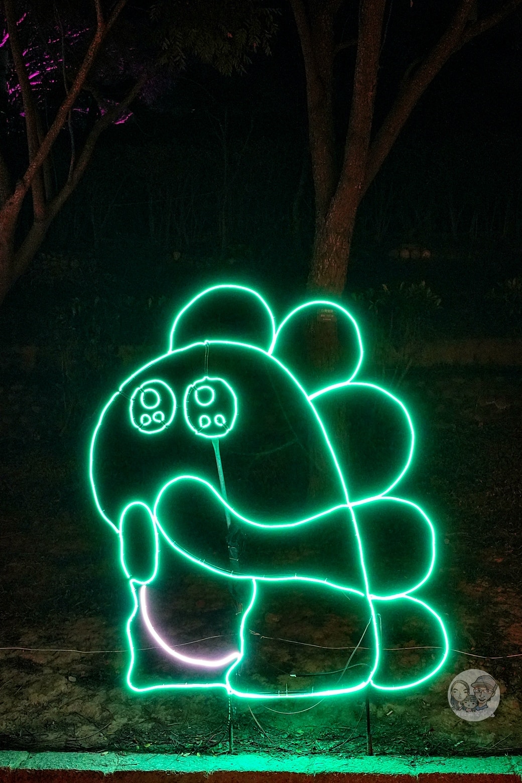 20251027_-153 20251027_-153