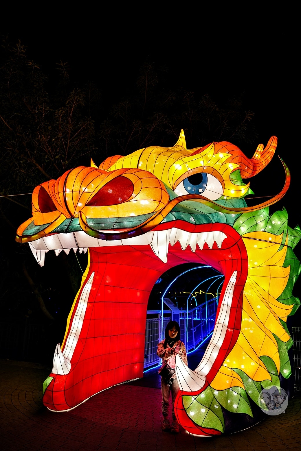 20251027_-162 20251027_-162