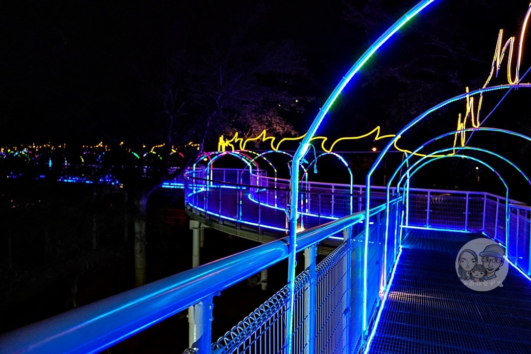 20251027_-167 20251027_-167