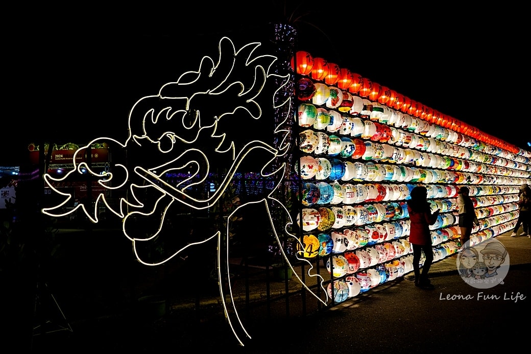 20251027_-316 20251027_-316