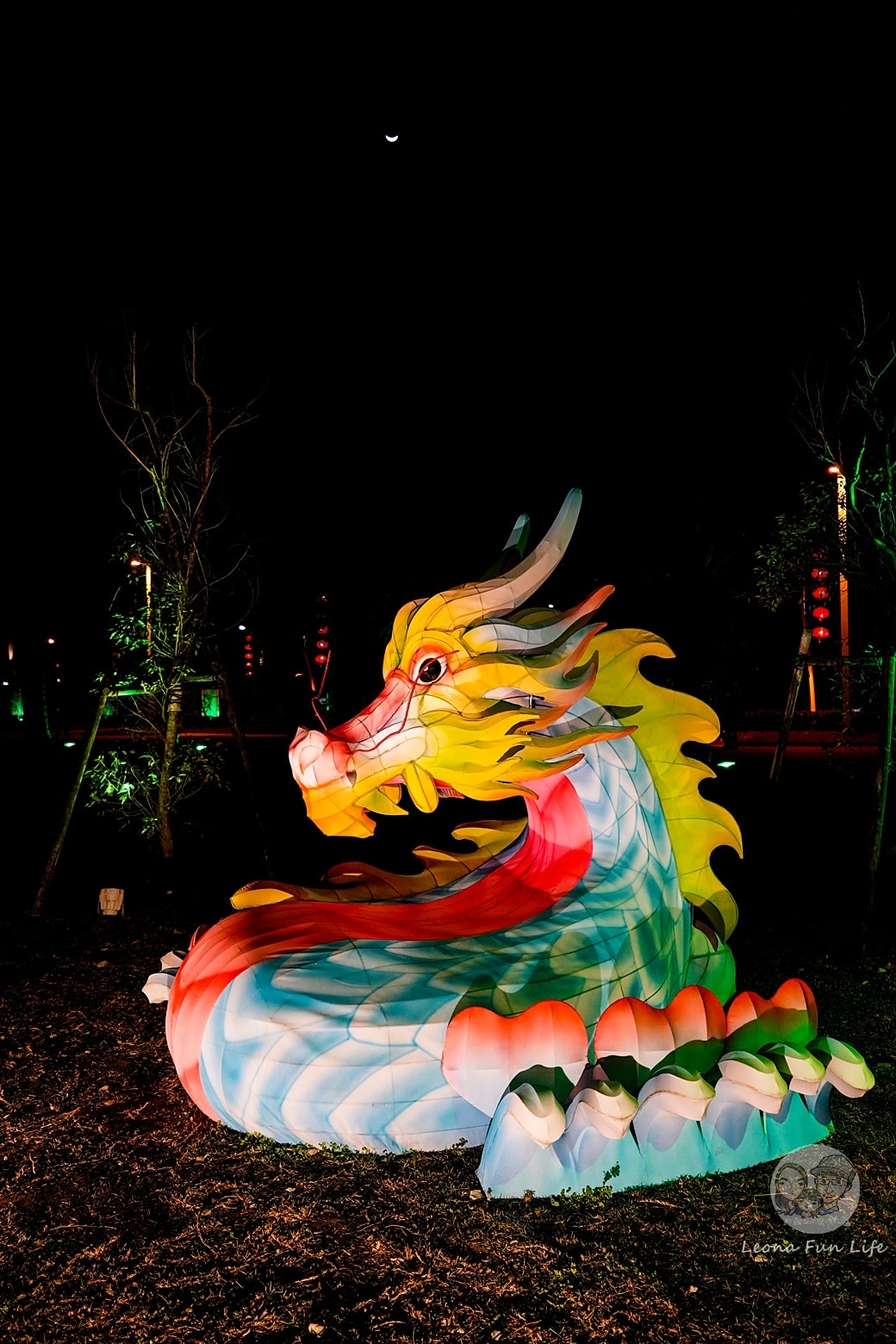 20251027_-329 20251027_-329