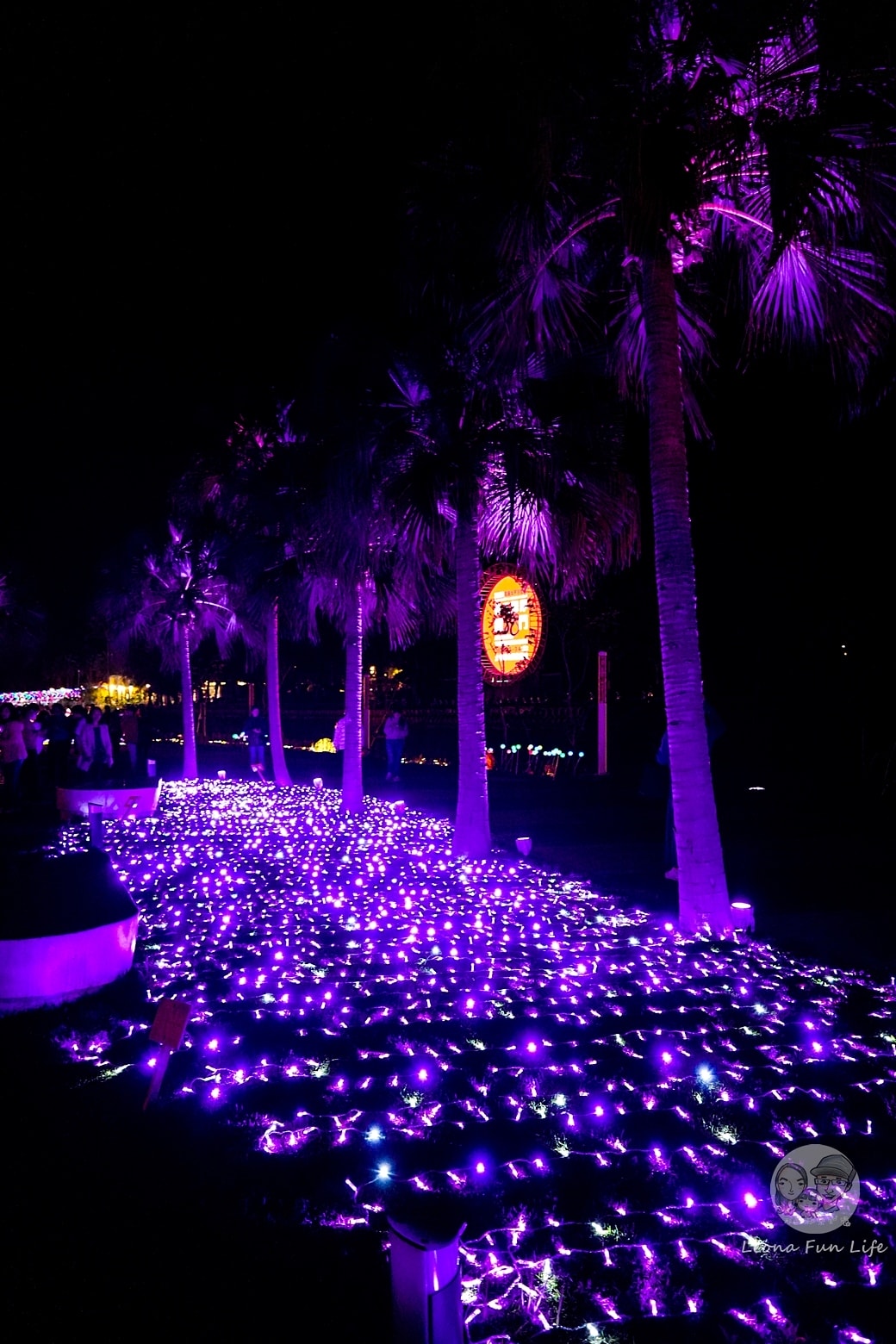 20251027_-338 20251027_-338