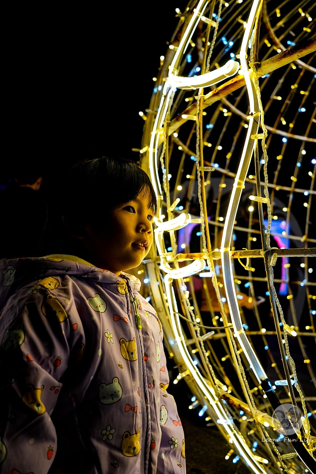 20251027_-340 20251027_-340