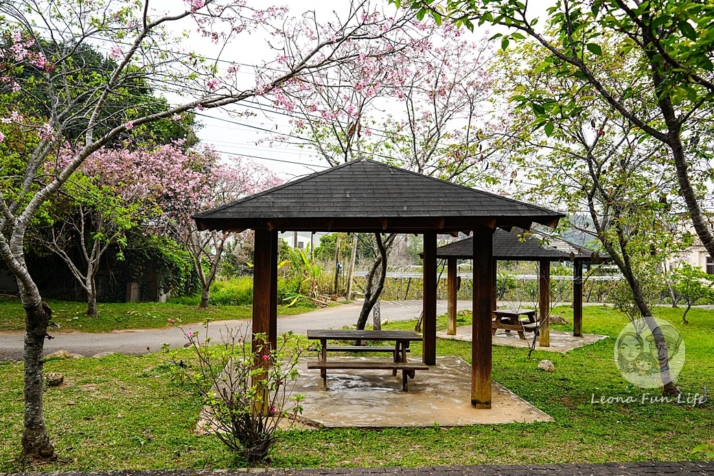 20251027_-163 20251027_-163