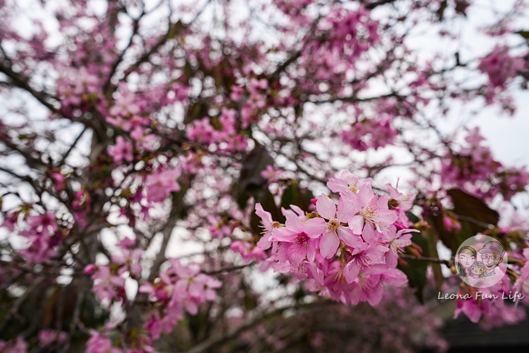 20251027_-164 20251027_-164