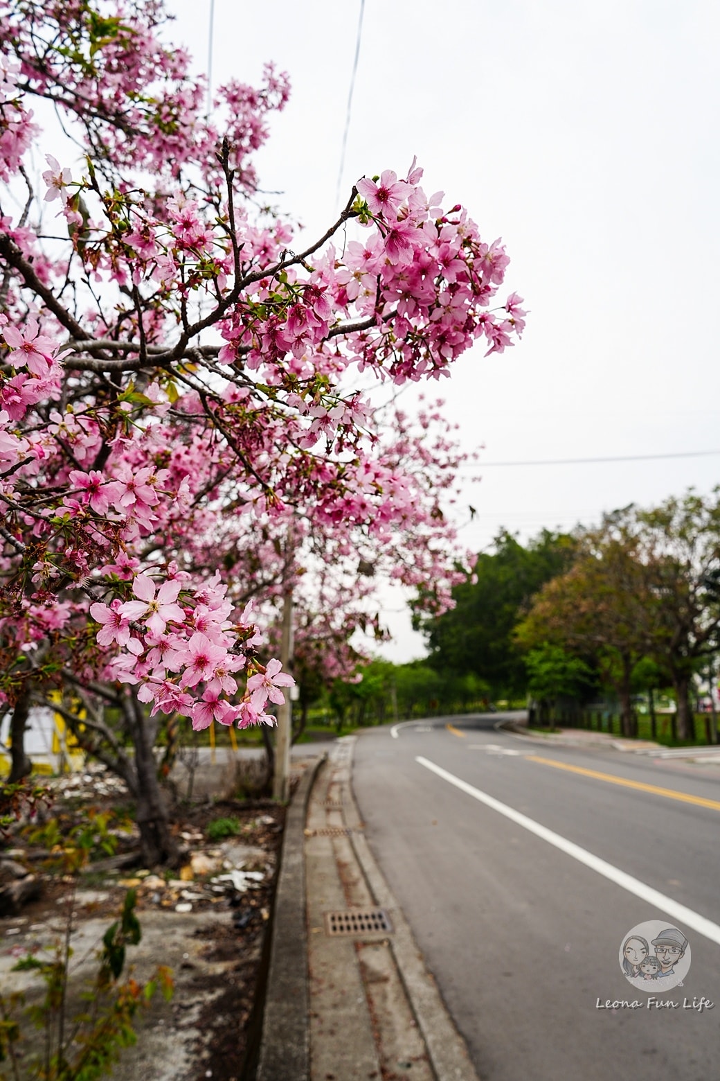 20251027_-165 20251027_-165