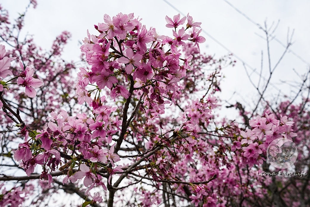 20251027_-166 20251027_-166