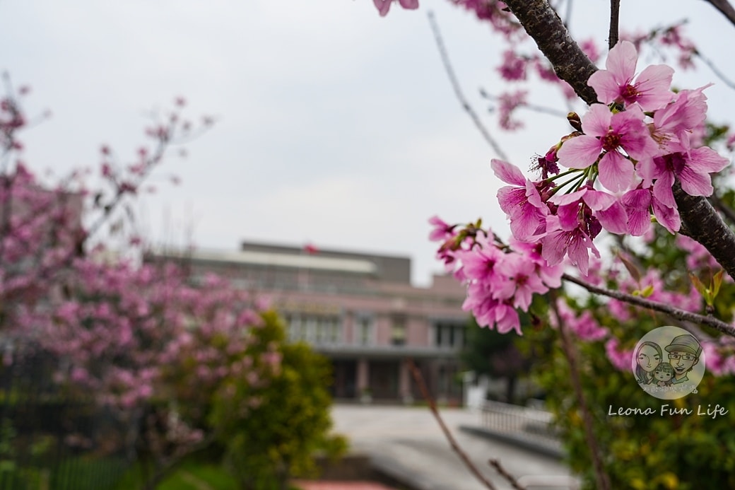 20251027_-167 20251027_-167