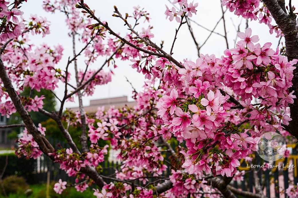 20251027_-168 20251027_-168