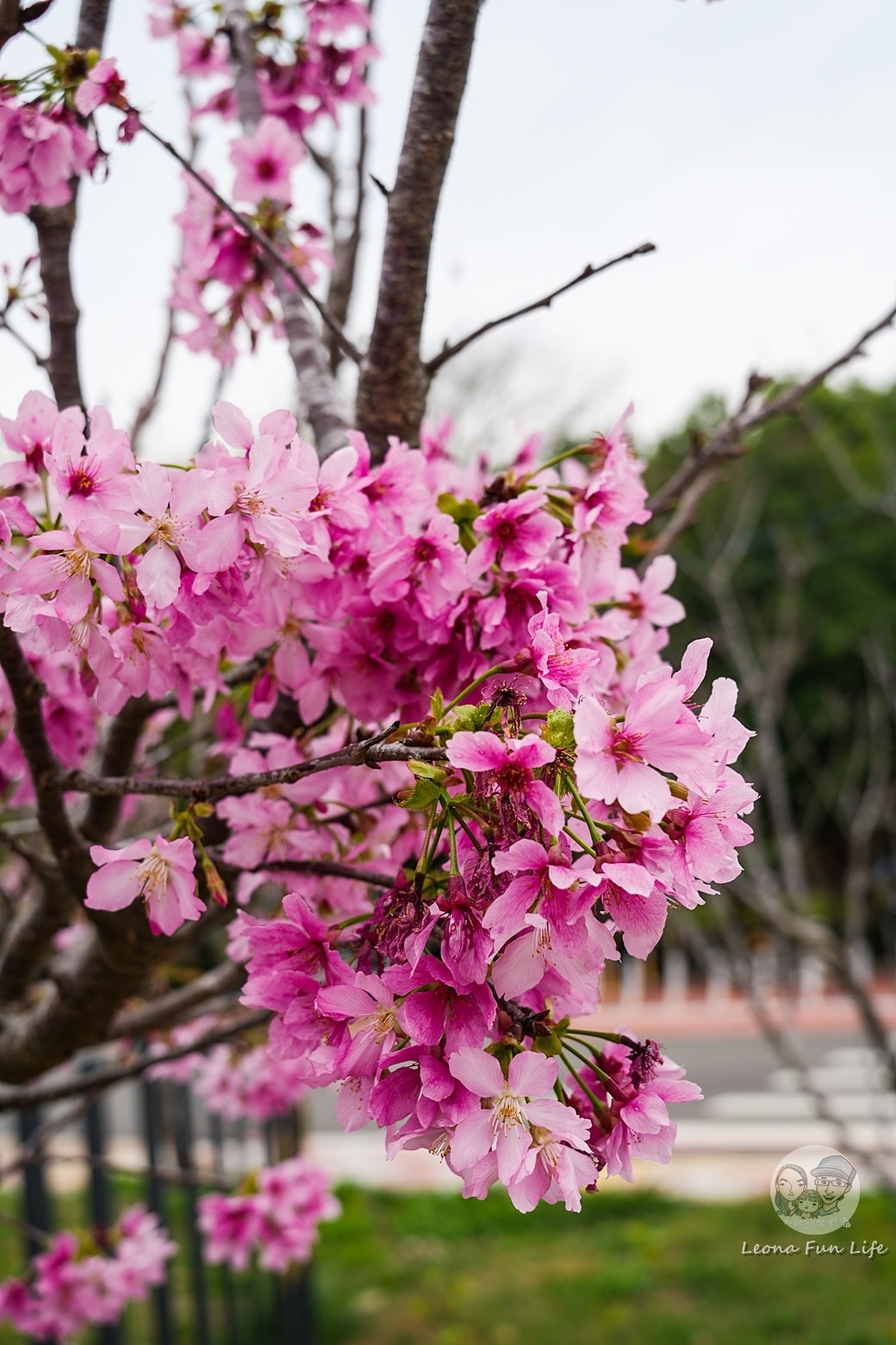 20251027_-169 20251027_-169