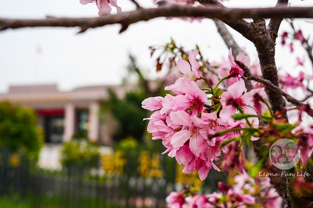 20251027_-170 20251027_-170