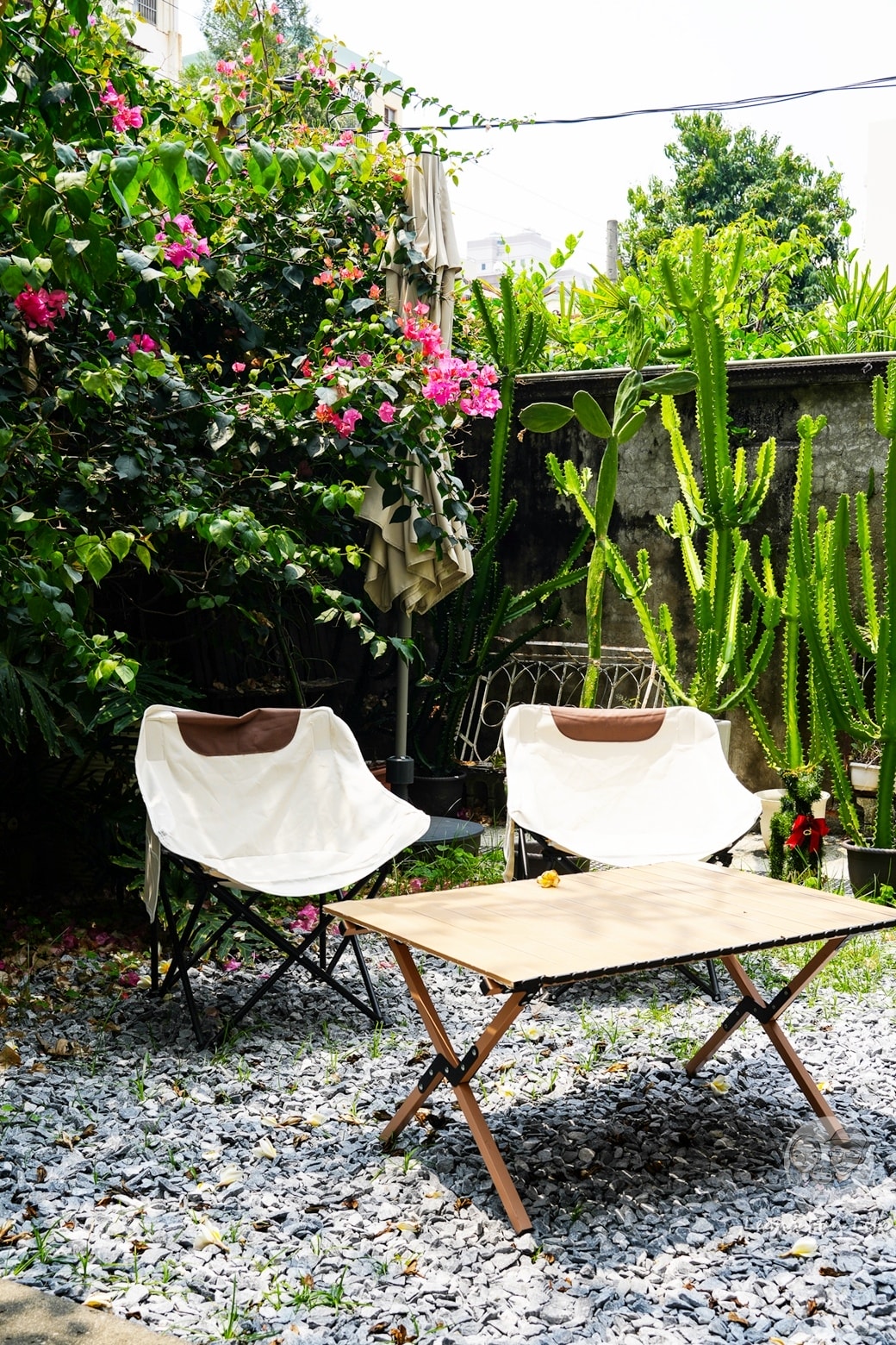 20251027_-445 20251027_-445