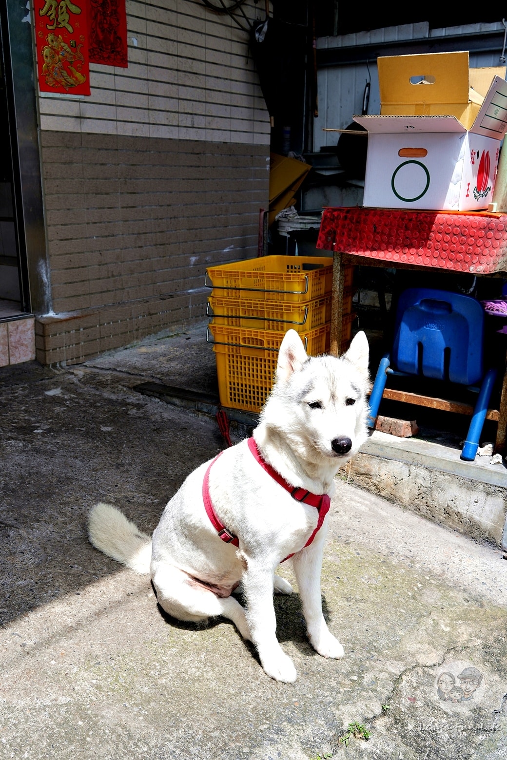 20251027_-138 20251027_-138