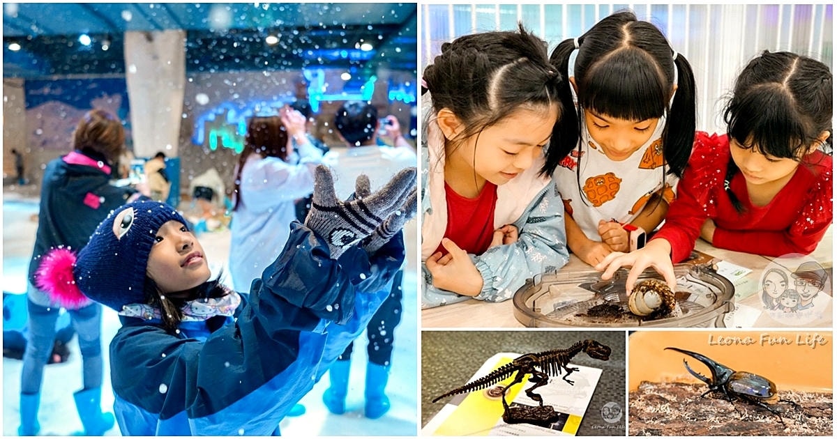 20251027_-142 20251027_-142