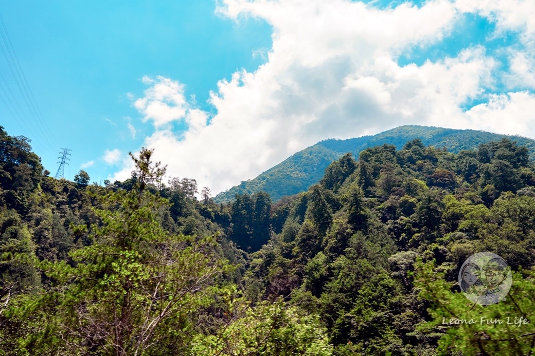 20251027_-153 20251027_-153