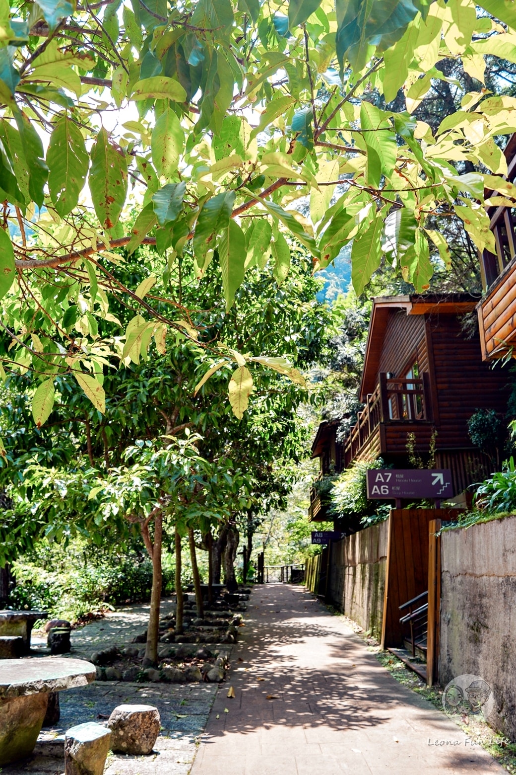 20251027_-164 20251027_-164