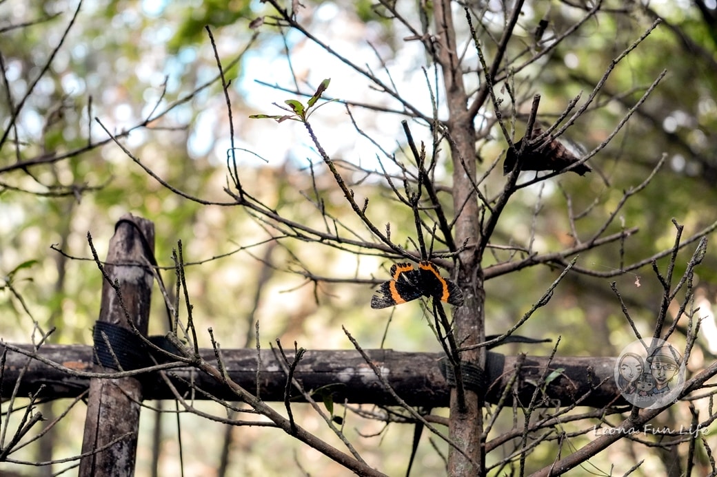 20251027_-169 20251027_-169