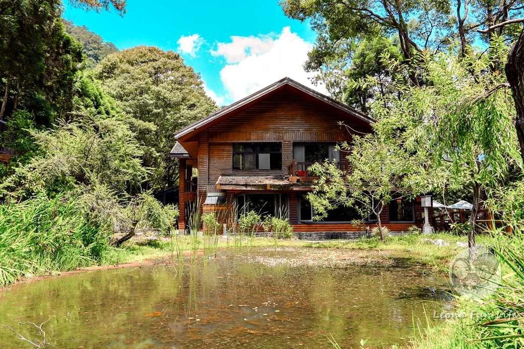 20251027_-209 20251027_-209