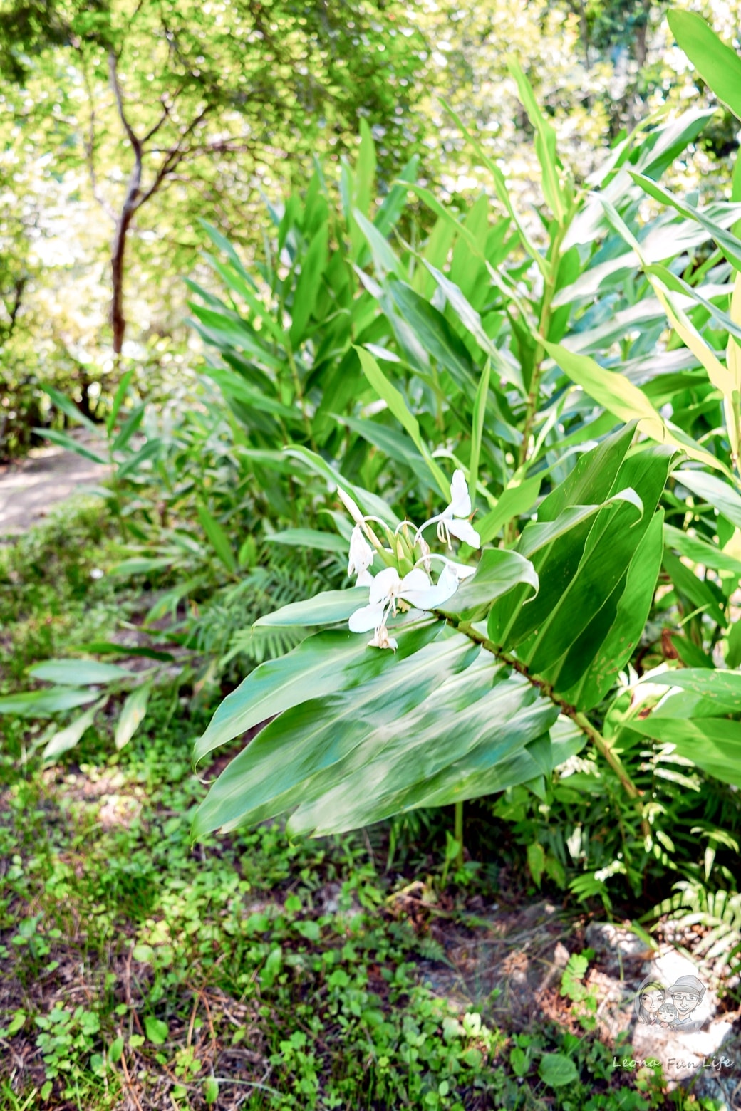 20251027_-210 20251027_-210