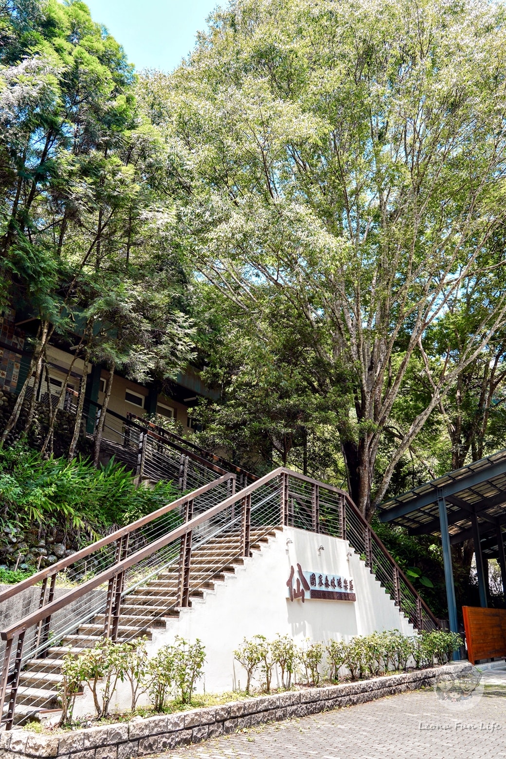 20251027_-212 20251027_-212