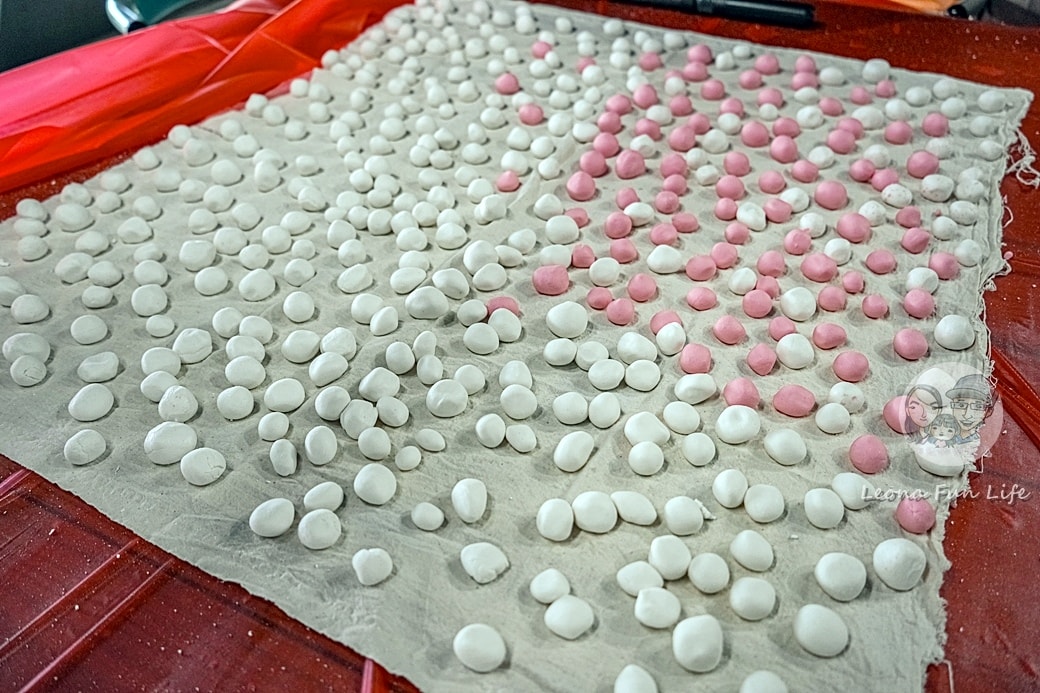 20251027_-337 20251027_-337