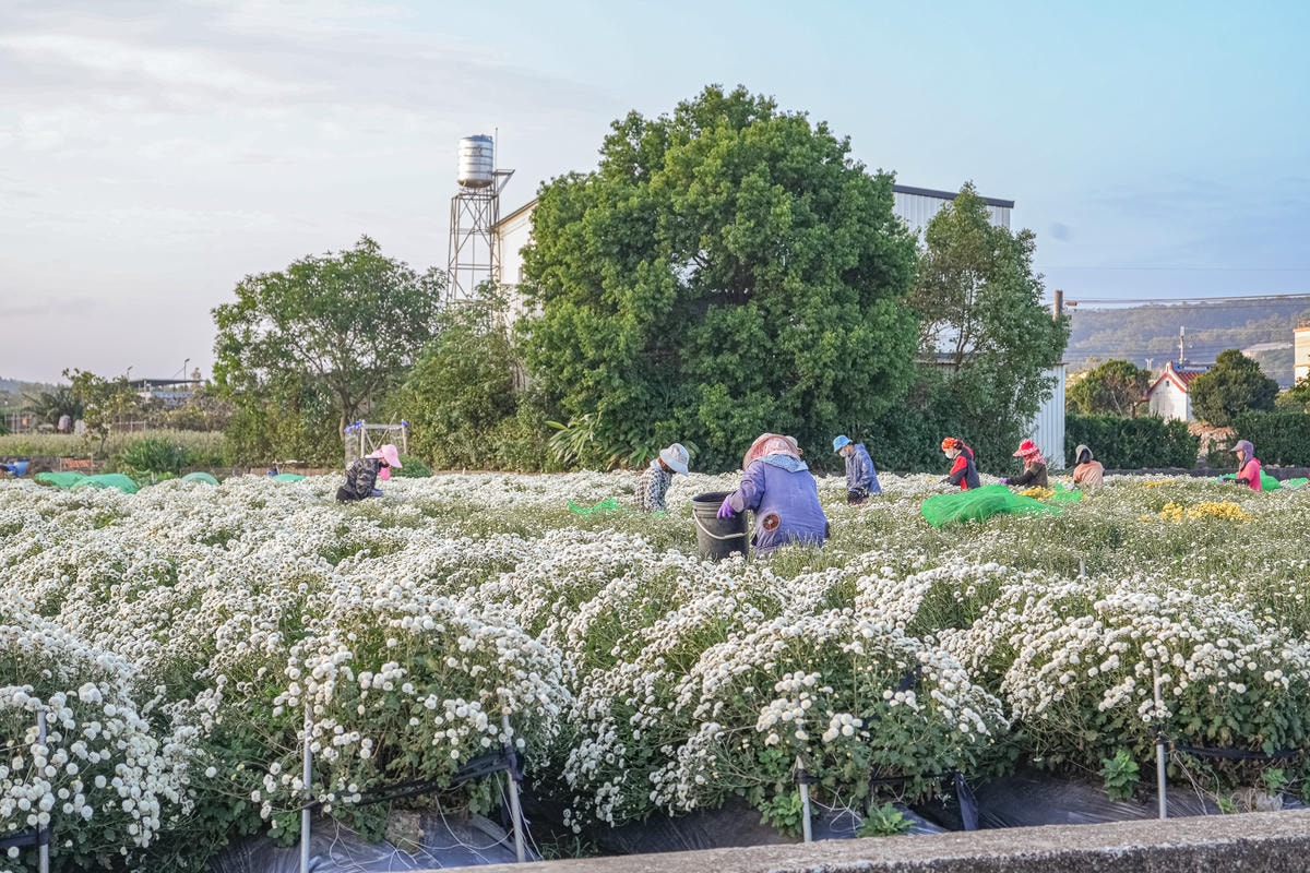 20251027_-328 20251027_-328