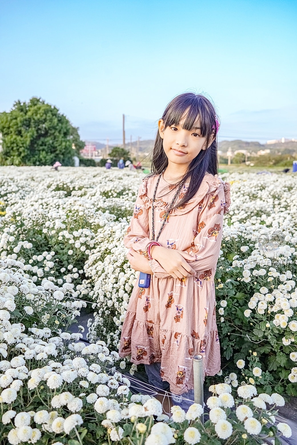 20251027_-330 20251027_-330