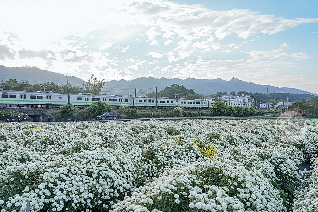 20251027_-331 20251027_-331