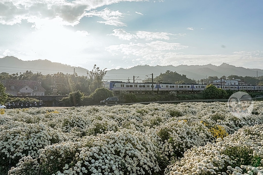 20251027_-332 20251027_-332