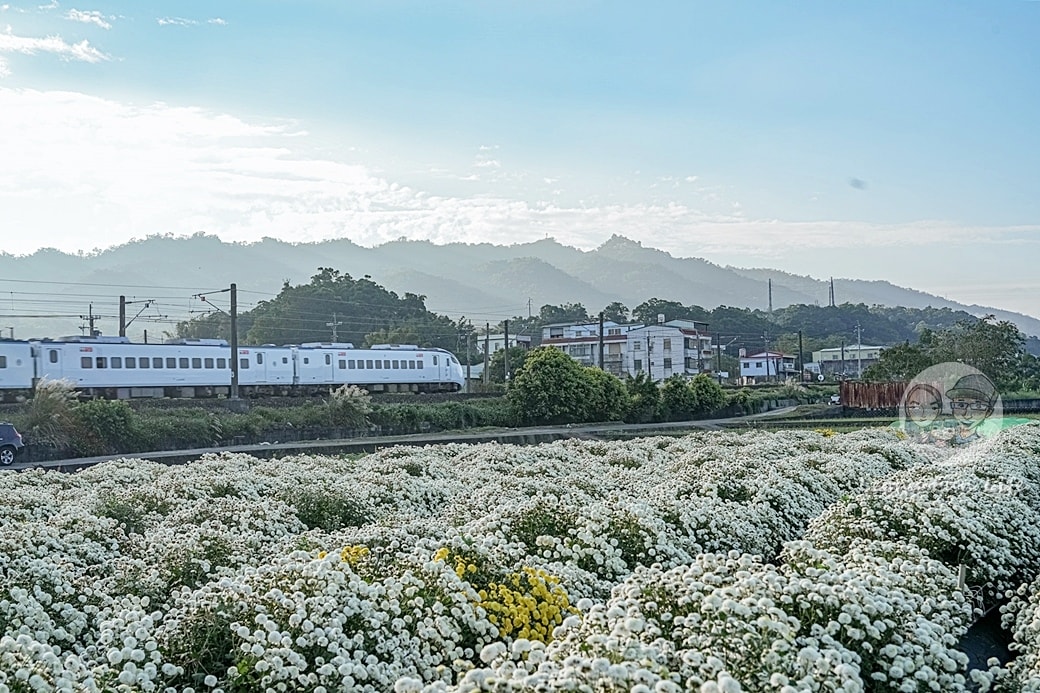 20251027_-333 20251027_-333