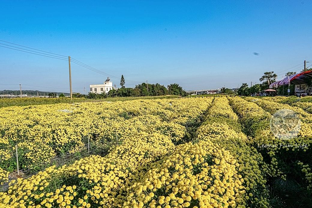 20251027_-335 20251027_-335