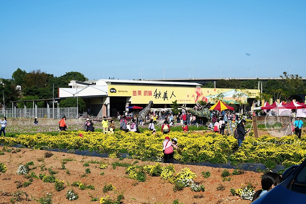 20251027_-336 20251027_-336