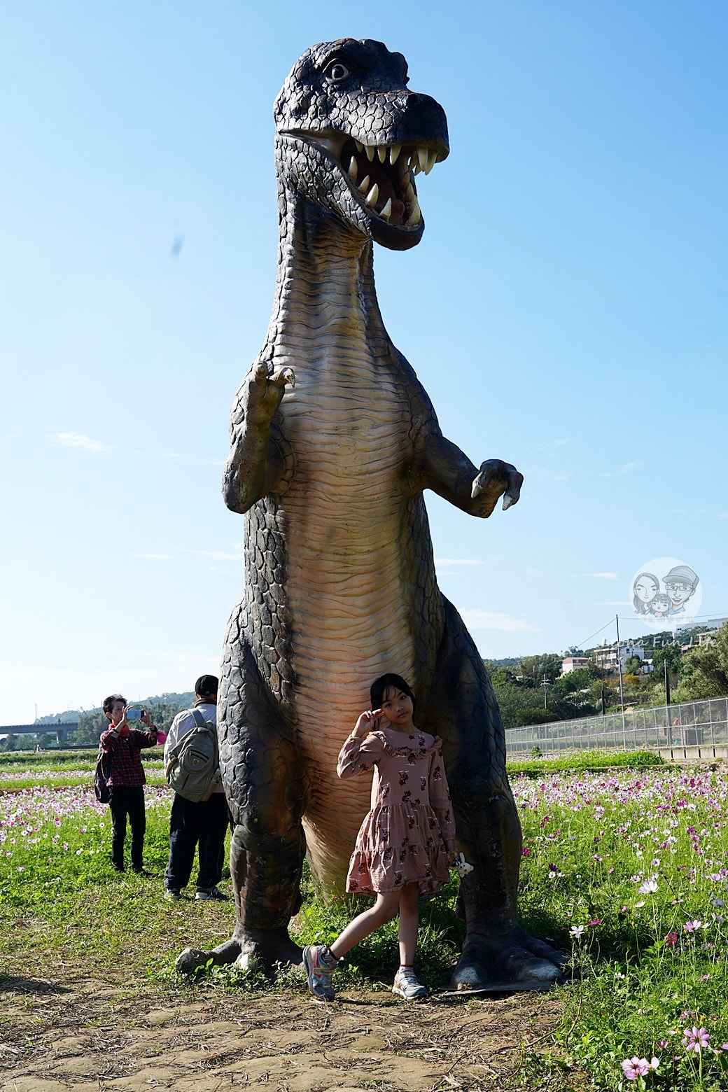 20251027_-337 20251027_-337