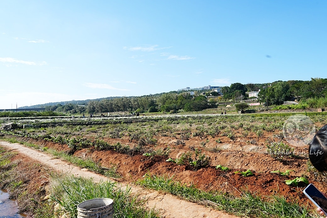 20251027_-340 20251027_-340