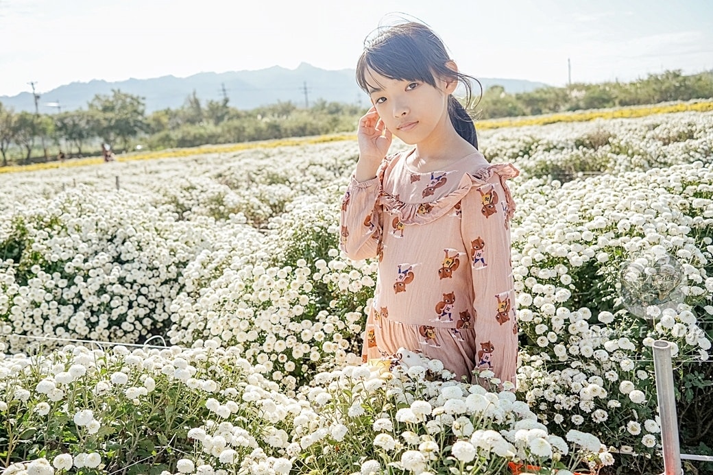 20251027_-342 20251027_-342