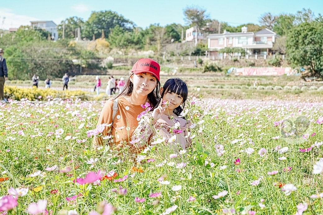 20251027_-343 20251027_-343