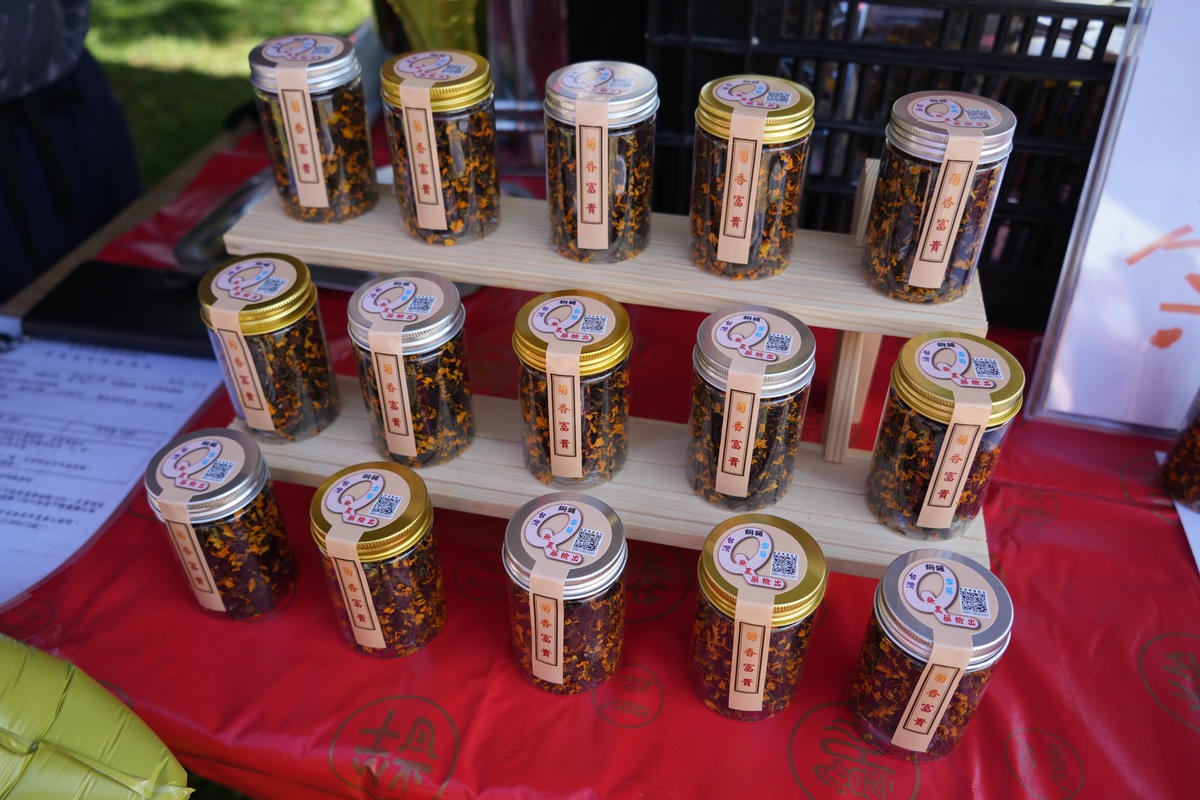 20251027_-353 20251027_-353