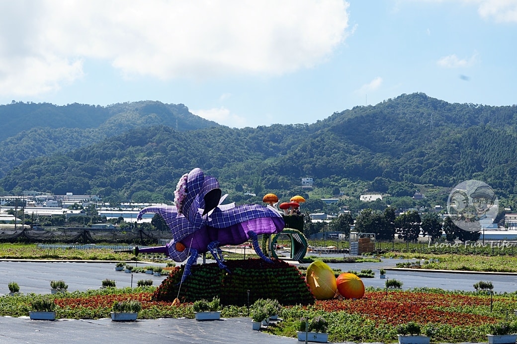 20251027_-57 20251027_-57