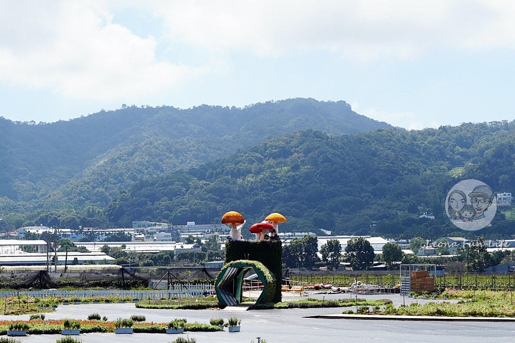 20251027_-59 20251027_-59