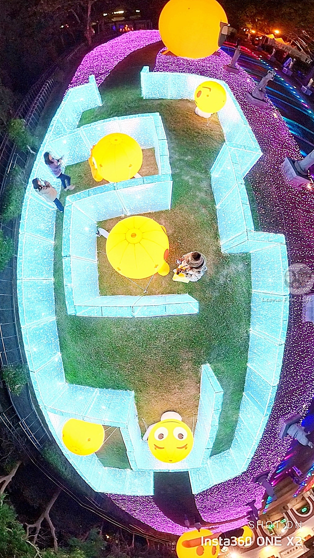 20251027_-275 20251027_-275