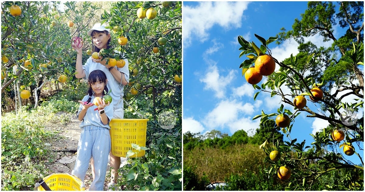 20251027_-75 20251027_-75