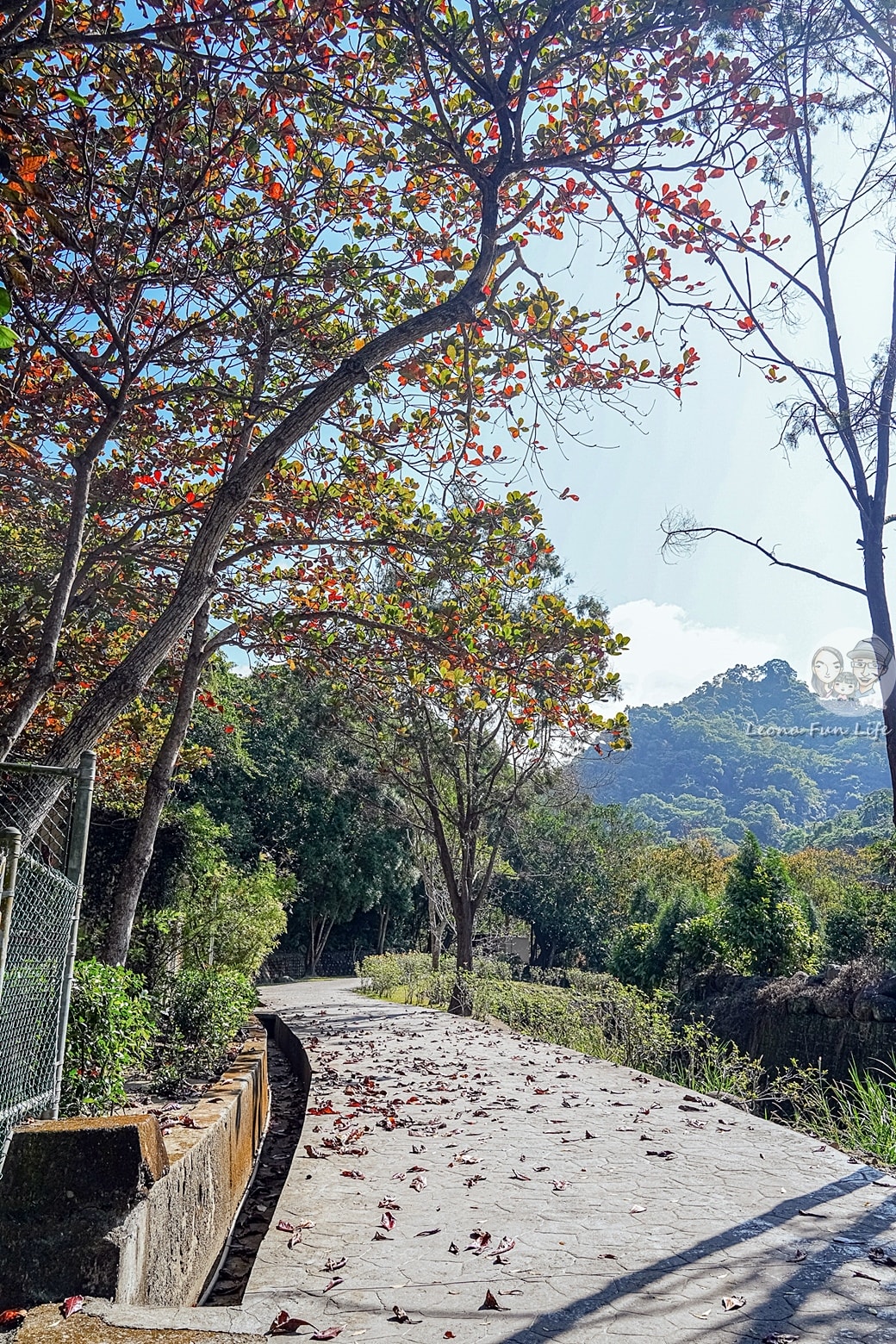 20251027_-206 20251027_-206