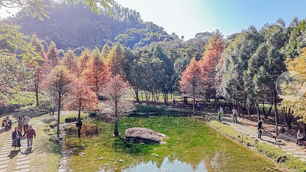 20251027_-208 20251027_-208