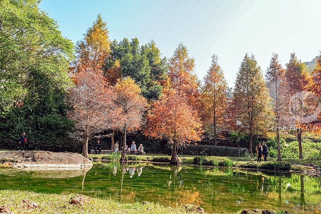 20251027_-210 20251027_-210